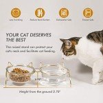 Qucey Cat Food and Water Bowls Set, Raised Cat Bowls for Food and Water, Elevated Pet Glass Bowls with Stand, 17 oz Cats and Dogs Bowl, Dishwasher Safe