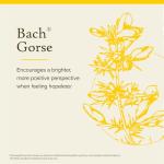 Bach Gorse Flower Remedy for Emotional Balance 20mL
