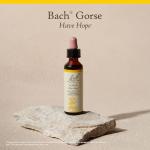 Bach Gorse Flower Remedy for Emotional Balance 20mL