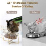 Gentledog Elevated Glass Cat Bowls with Waterproof Food Mat, 15° Tilt Anti-Vomit Cat Feeding Bowl with Anti Slip Stand, Raised Cat Bowls for Indoor Cats and Dogs