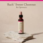 Sweet Chestnut Flower Essence for Emotional Balance