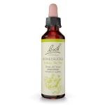 Bach Honeysuckle Flower Remedy for Emotional Balance