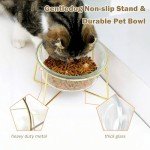 Gentledog Elevated Glass Cat Bowls with Waterproof Food Mat, 15° Tilt Anti-Vomit Cat Feeding Bowl with Anti Slip Stand, Raised Cat Bowls for Indoor Cats and Dogs