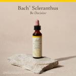Bach Flower Remedies Scleranthus for Emotional Balance