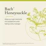Bach Honeysuckle Flower Remedy for Emotional Balance