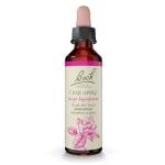 Bach Crab Apple Flower Remedies for Emotional Balance