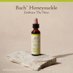 Bach Honeysuckle Flower Remedy for Emotional Balance
