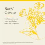 Bach Cerato Flower Remedy for Emotional Balance