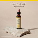 Bach Cerato Flower Remedy for Emotional Balance