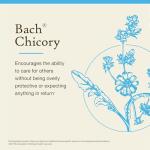 Chicory Flower Essence for Emotional Balance - 20mL