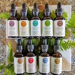 Hawaiian Flower Essences Kit - 9 Bottles