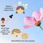 Hawaiian Flower Essences Kit - 9 Bottles