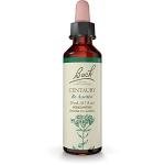 Bach Flower Remedies Centaury 20ml Bottle