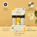Bach Flower Remedies Trio Kit for Travel Stress