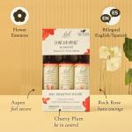 Bach Flower Remedies Fear No More Trio Kit