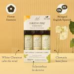 Bach Flower Remedies Clarity Trio Kit for Focus
