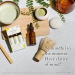 Bach Flower Remedies Clarity Trio Kit for Focus