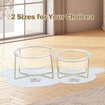 Gentledog Elevated Glass Cat Bowls with Waterproof Food Mat, 15° Tilt Anti-Vomit Cat Feeding Bowl with Anti Slip Stand, Raised Cat Bowls for Indoor Cats and Dogs