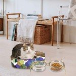 Qucey Cat Food and Water Bowls Set, Raised Cat Bowls for Food and Water, Elevated Pet Glass Bowls with Stand, 17 oz Cats and Dogs Bowl, Dishwasher Safe