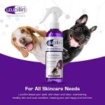 Leucillin Antiseptic Dropper for Dogs - 50ml