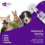 Leucillin Antiseptic Dropper for Dogs - 50ml