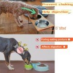 FUNACAY Elevated Dog Bowls - Double 54 oz Bowls， Bamboo 15° Tilted Raised Dog Bowl Stand with 2 Stainless Steel Bowls for Small & Medium Dogs, Indoor Dogs and Adult Cats Feeder