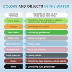 Ionic Foot Bath Detox Machine, Portable Foot Detox Machine Ion Cleanse Bath System with Stroage Bag, 100 Spa Liners, Spa at Home Detox