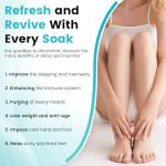 Lecaung Foot Detox Machine, Portable Ionic Foot Bath Detox Machine, Ion Foot Spa Cleanser for Home Travelling USE with 10 Liners