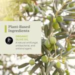 PurO3 Ozonated Olive Oil – Natural Skincare Lotion