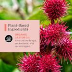 PurO3 Ozonated Castor Oil for Skin Care