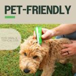 Ozone-Infused Olive Oil for Skin Care