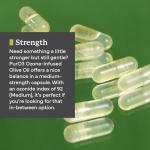 Ozonated Extra Virgin Olive Oil Capsules for Wellness