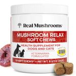 Calming Chews with Reishi & Lion’s Mane