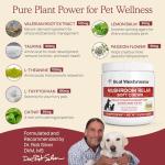 Calming Chews with Reishi & Lion’s Mane