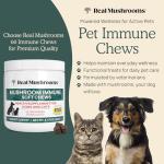 Mushroom Chews for Immune Support in Pets