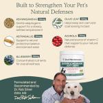 Mushroom Chews for Immune Support in Pets