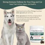 Mushroom Chews for Immune Support in Pets