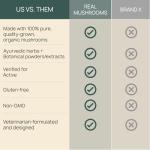 Mushroom Chews for Immune Support in Pets