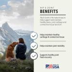 Four Leaf Rover Hip & Joint - Mobility & Joint Support with Glucosamine and Chondroitin for Dogs, 2.4 oz - 22 to 60 Day Supply, Depending on Dog’s Weight - Vet Formulated - Easy to Mix - Delicious
