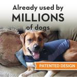 Blue Polo Dog Calming Vest for Anxiety Relief