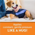 Blue Polo Dog Calming Vest for Anxiety Relief