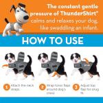 Blue Polo Dog Calming Vest for Anxiety Relief