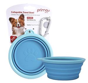 Collapsible Silicone Travel Bowl for Pets (Aqua)