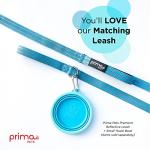 Collapsible Silicone Travel Bowl for Pets (Aqua)