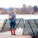 Collapsible Silicone Travel Bowl for Pets (Aqua)