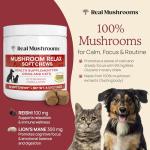 Calming Chews with Reishi & Lion’s Mane