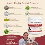 Calming Chews with Reishi & Lion’s Mane