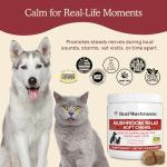 Calming Chews with Reishi & Lion’s Mane