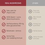 Calming Chews with Reishi & Lion’s Mane