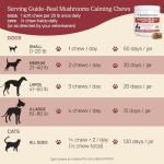 Calming Chews with Reishi & Lion’s Mane